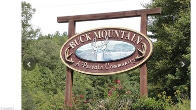 0 Pepper Bush Rd unit 919357, Purlear, NC 28665 - photo 3