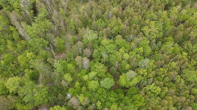 1880 Underpass Rd, Sutton, VT 05867 - photo 5