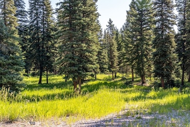 190 Stream Side Way, Big Sky, MT 59716 - photo 4