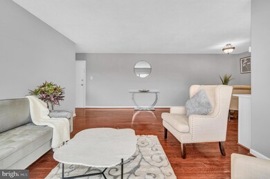 3710 N Rosser St unit 202, Alexandria, VA 22311 - photo 3