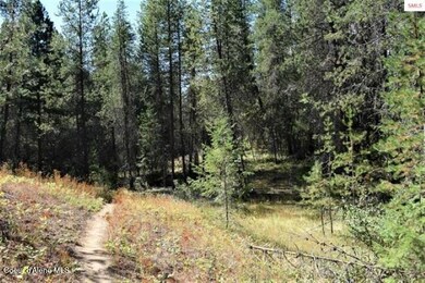 Trails on property