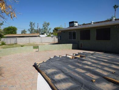 BACKYARD (2)
