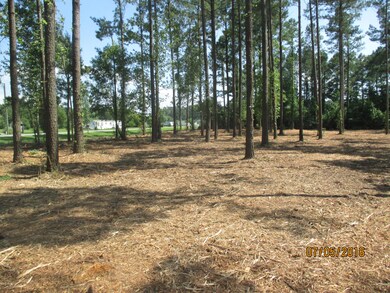 PULLIAM after mowing 004