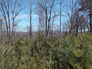 2 Allard Hill Rd, Conway, NH 03818 - photo 5