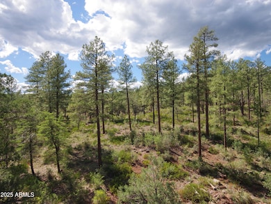 134 E Belluzzi Blvd, Payson, AZ 85541 - photo 3