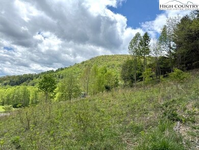 Gently Sloping Lot