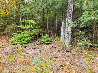 0 Meany Rd unit 4887098, Charlestown, NH 03603 - photo 2