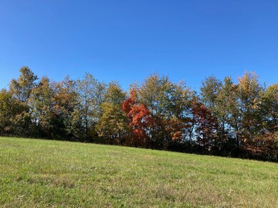 Tract 3 Combs Rd, Nixa, MO 65714 - photo 2