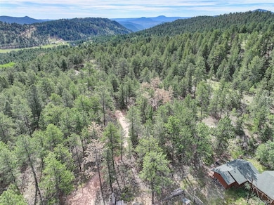 20461 S Wandcrest Dr, Pine, CO 80470 - photo 3