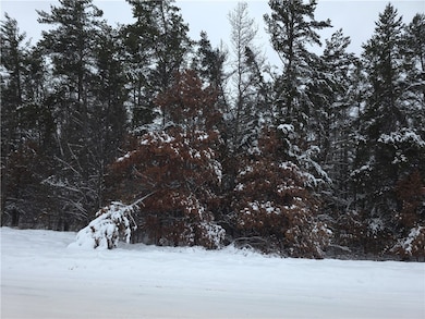 0 Liesch Rd, Trego, WI 54888 - photo 5