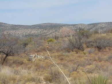 unlisted-address, Cornville, AZ 86325 - photo 4