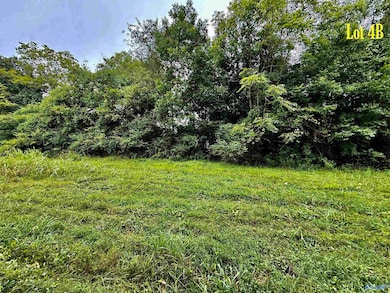 Lot 4B Taylor Rd, Elkmont, AL 35620 - photo 3