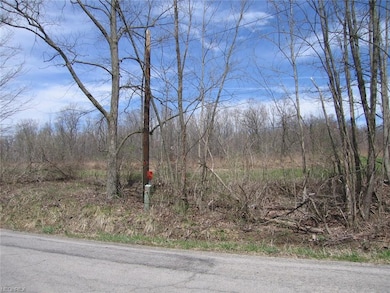 More Frontage, West side of the lot.