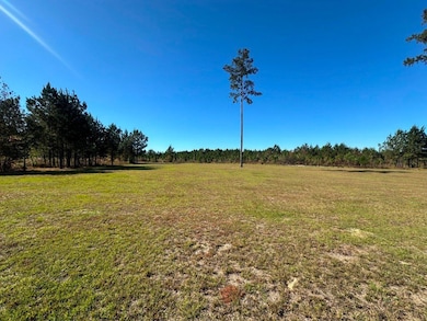 1000 Millen Hiltonia Rd, Hiltonia, GA 30467 - photo 7