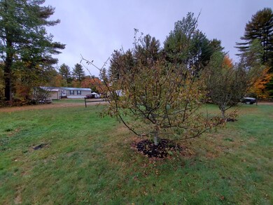 front lawn