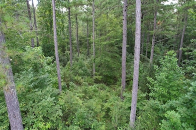 00 Scenic Lane (Lot 183), Granite Falls, NC 28630 - photo 7