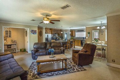 9 Rock Hole Rd, Crawfordville, FL 32327 - photo 5