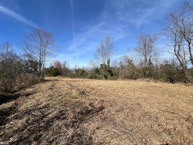 1297 Kentucky 191, West Liberty, KY 41472 - photo 6