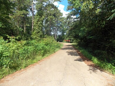 000 White St, McComb, MS 39648 - photo 2