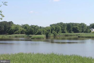 102 Watson Rd, Centreville, MD 21617 - photo 3