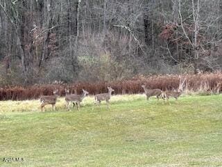 Lot 11 Dry Hollow Rd, Warriors Mark, PA - photo 4
