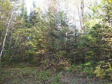 Land/Lot.