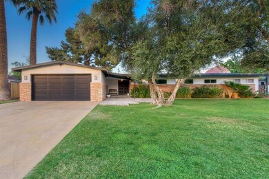 Mature olive trees & a peek at Camelback