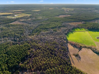 0 Thomas Rd unit 549544, Millen, GA 30442 - photo 2