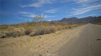 6919 Sierra Ave, Joshua Tree, CA 92252 - photo 6