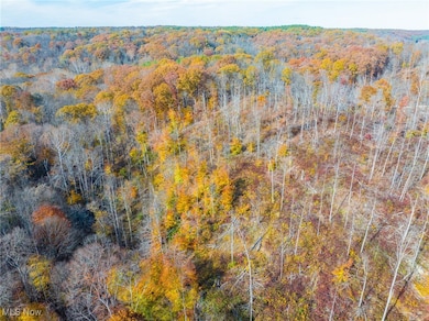 0 Hambel Rd, Union Township, OH 43758 - photo 5