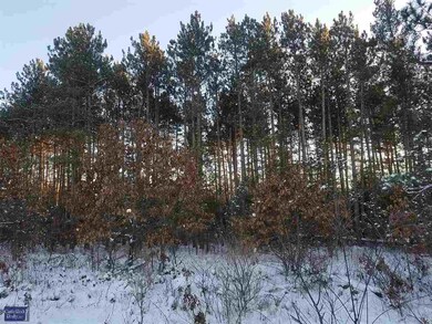 L47 Cranberry Creek Rd, Cutler, WI 54618 - photo 4