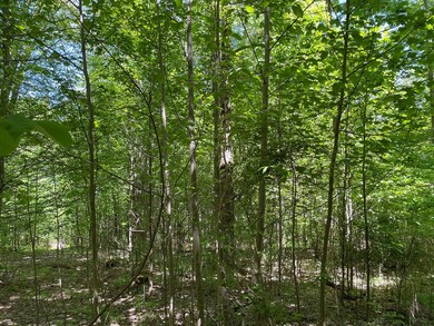 0 Ridge Rd, Hayfield Township, PA 16335 - photo 6