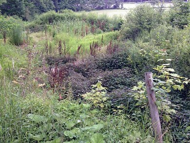 Land. Former pond location in southwest corner