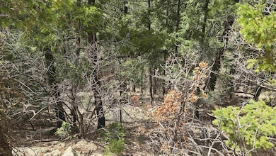 Lots2,3,9,10 Henry Summit Dr unit 23910, High Rolls, NM 88317 - photo 2