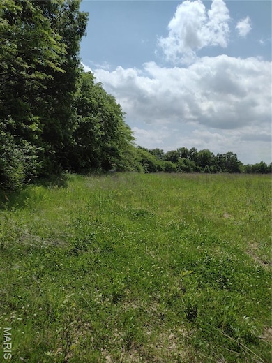 0 Central Grove Rd & Marling Rd N unit MIS25030827, Montgomery, MO 63359 - photo 7