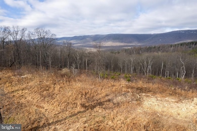 0 Back Mountain Road Lot 11, Winchester, VA 22602 - photo 5