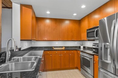 Stainless Steel, Granite, Recessed Lights.