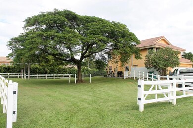 Side Yard
