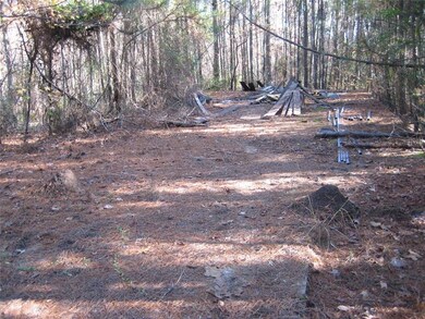 8050 Campbellton Redwine Rd, Palmetto, GA 30268 - photo 4