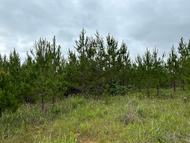 0 Mcdade Rd unit 23668134, Eatonton, GA 31024 - photo 7