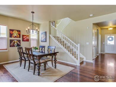 4026 Wild Elm Way, Fort Collins, CO 80528 - photo 6