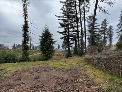 1037 Thomasson Ln, Paradise, CA 95969 - photo 6