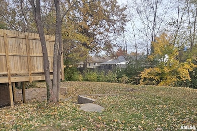 203 S Orchard Dr, Carbondale, IL 62901 - photo 4