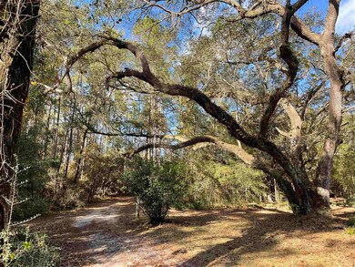 73 Oakland Dr, Crawfordville, FL 32327 - photo 2