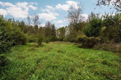 20241002221226710692000000-o