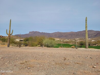 9651 E Quarter Circle Loop unit 4, Gold Canyon, AZ 85118 - photo 5