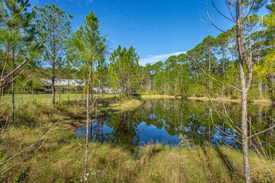 302 Government Rd, Crawfordville, FL 32327 - photo 7