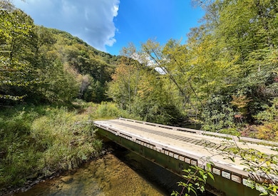 9765 Little Snowbird Rd, Robbinsville, NC 28771 - photo 3