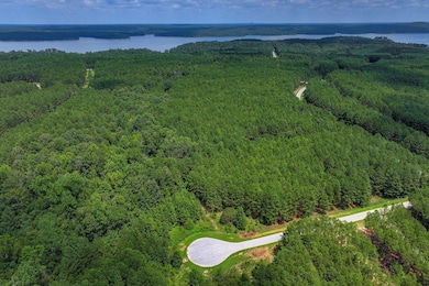 1210 Edge Ln, Tignall, GA 30668 - photo 2