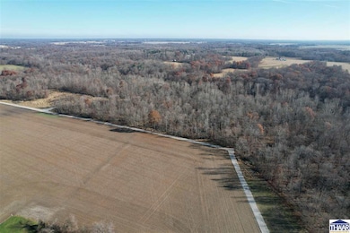 0 County Road 1200 N, van Buren Township, IN 47834 - photo 2